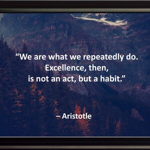 Aristotle We are Poster, Print, Picture or Framed Photograph