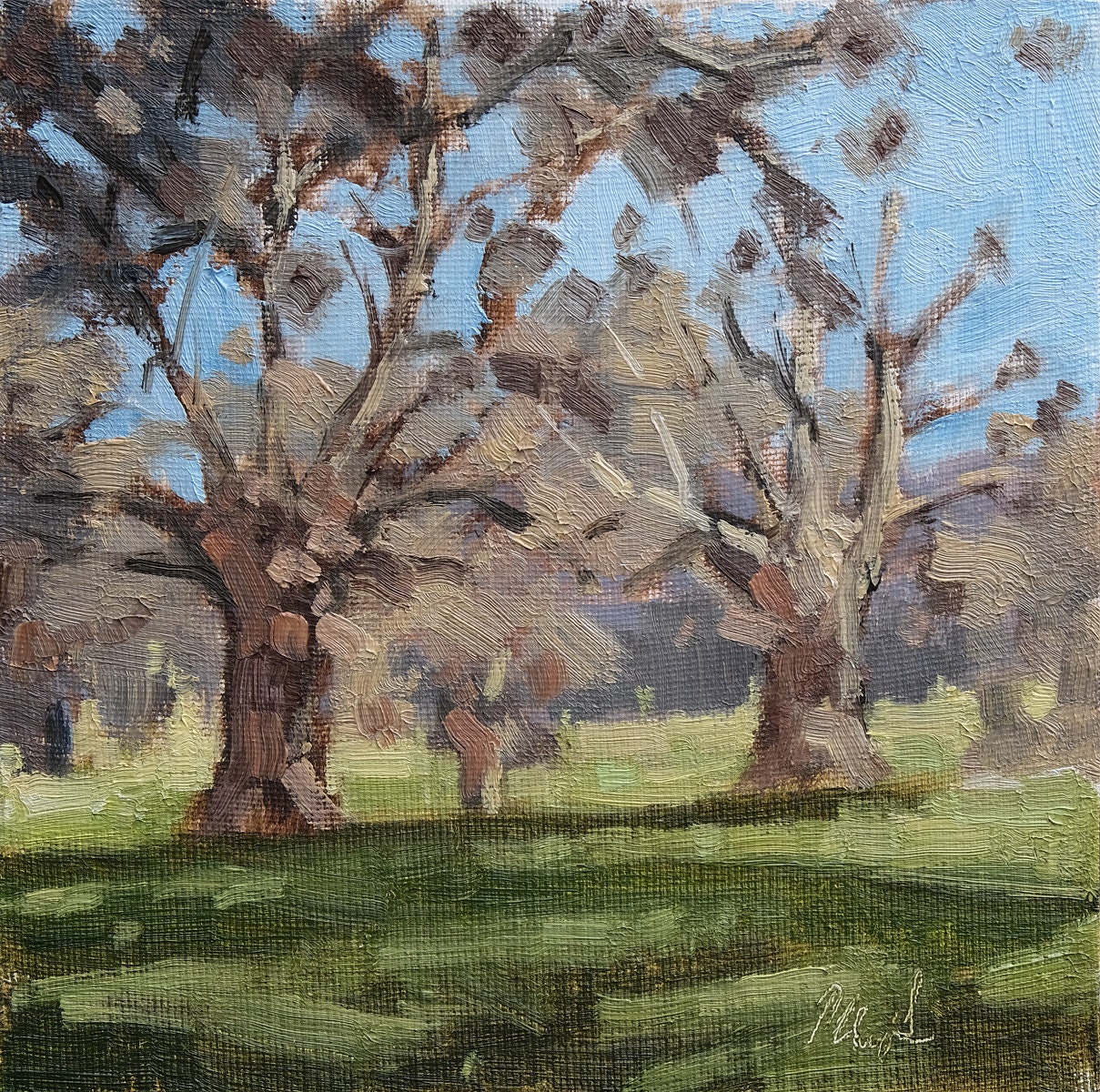 Oak Trees Original, Contemporary, Impressionist, Pleinair