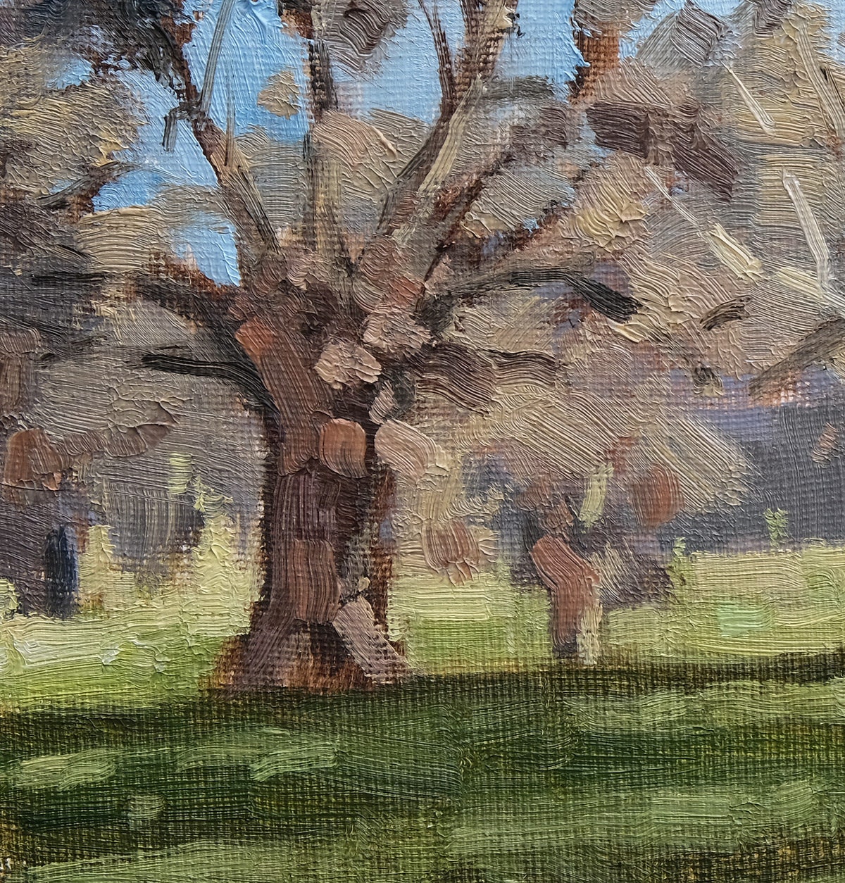 Oak Trees Original, Contemporary, Impressionist, Pleinair