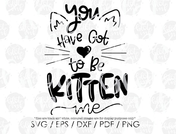 You Ve Got To Be Kitten Me Svg Kitten Cat Funny Puns Cat Etsy