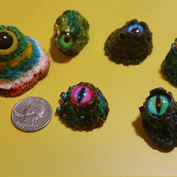 Painted Barnacle Eye Magnets