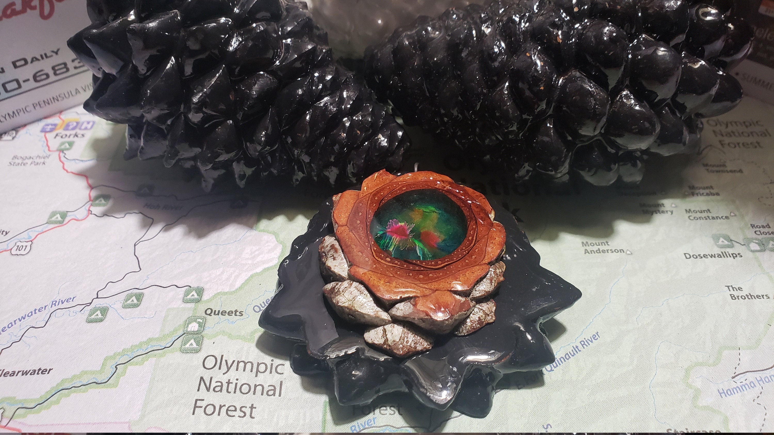 Knobcone pine cone mushroom bloom pinecone pendant Etsy