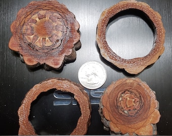 Knobcone pine cone slices and circles for making your own pinecone pendant