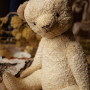 May include: A cream-colored teddy bear with a stitched nose and black eyes sits on a brown surface. The bear has a fluffy, worn texture. The text "Larisa Teddy Bear" is visible in the top left corner of the image.