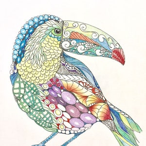 Zentangle toucan, zentangle art, colored zentangle, toucan art, bird art, ink colored pencils, wall art, tropical art image 1