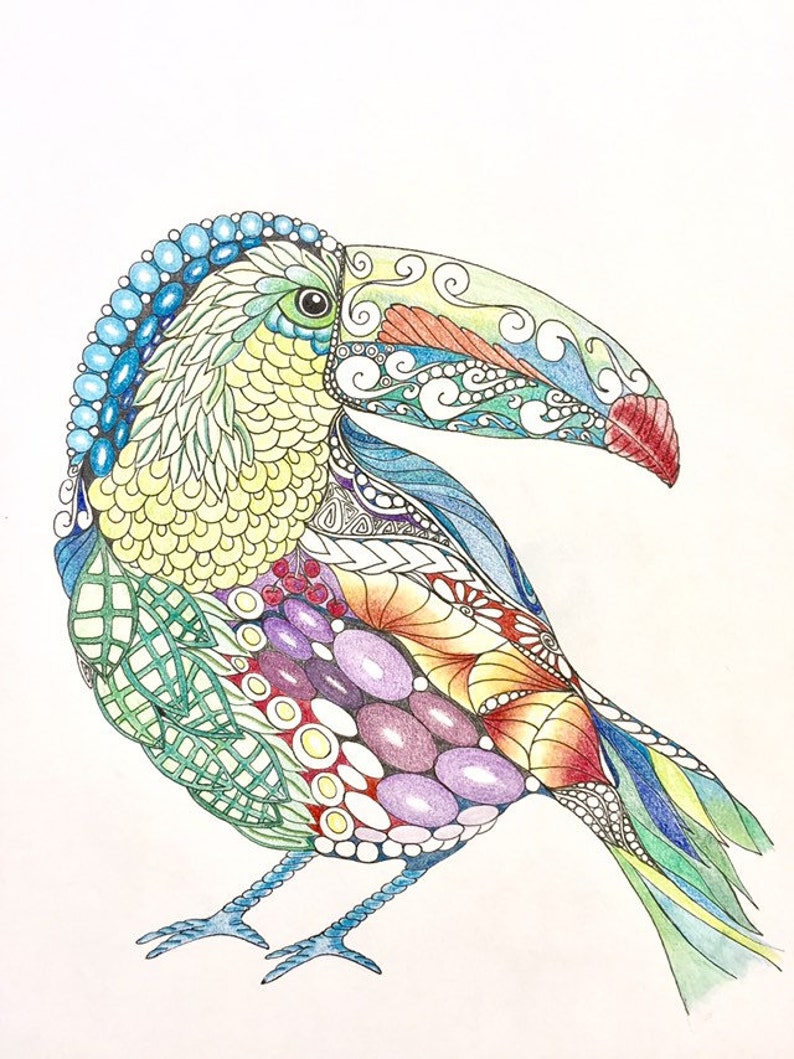 Zentangle toucan, zentangle art, colored zentangle, toucan art, bird art, ink colored pencils, wall art, tropical art image 1