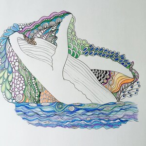 Shimmer Orca Lover Pointillism Art Killer Whale, Stainless Steel Water  Bottle, 17 Oz, Whale, Gift, Drawing, Stippling, Breaching, Tumbler 