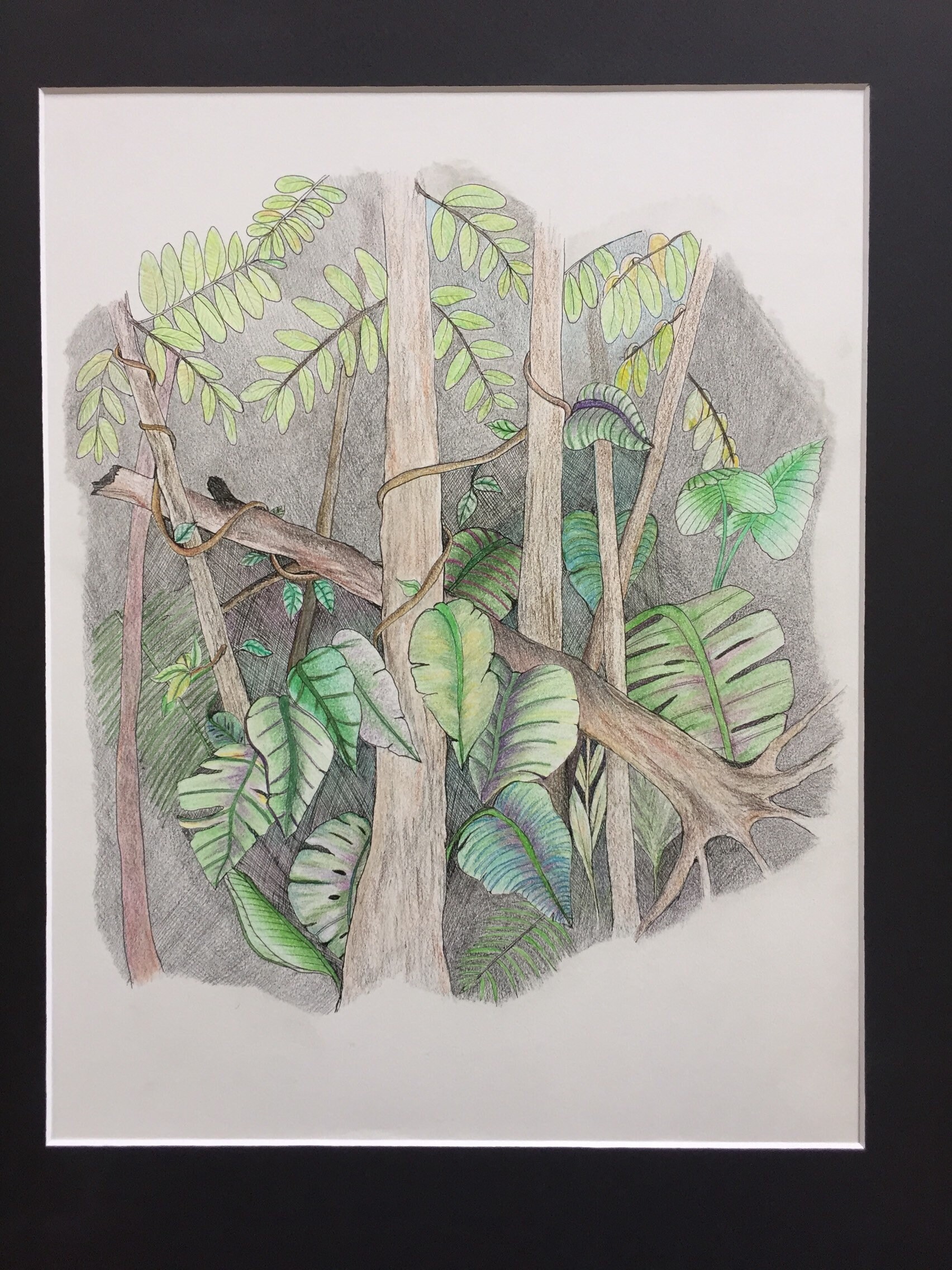 Jungle At Night Night Jungle Jungle Art Tree Art Dark Woods Etsy