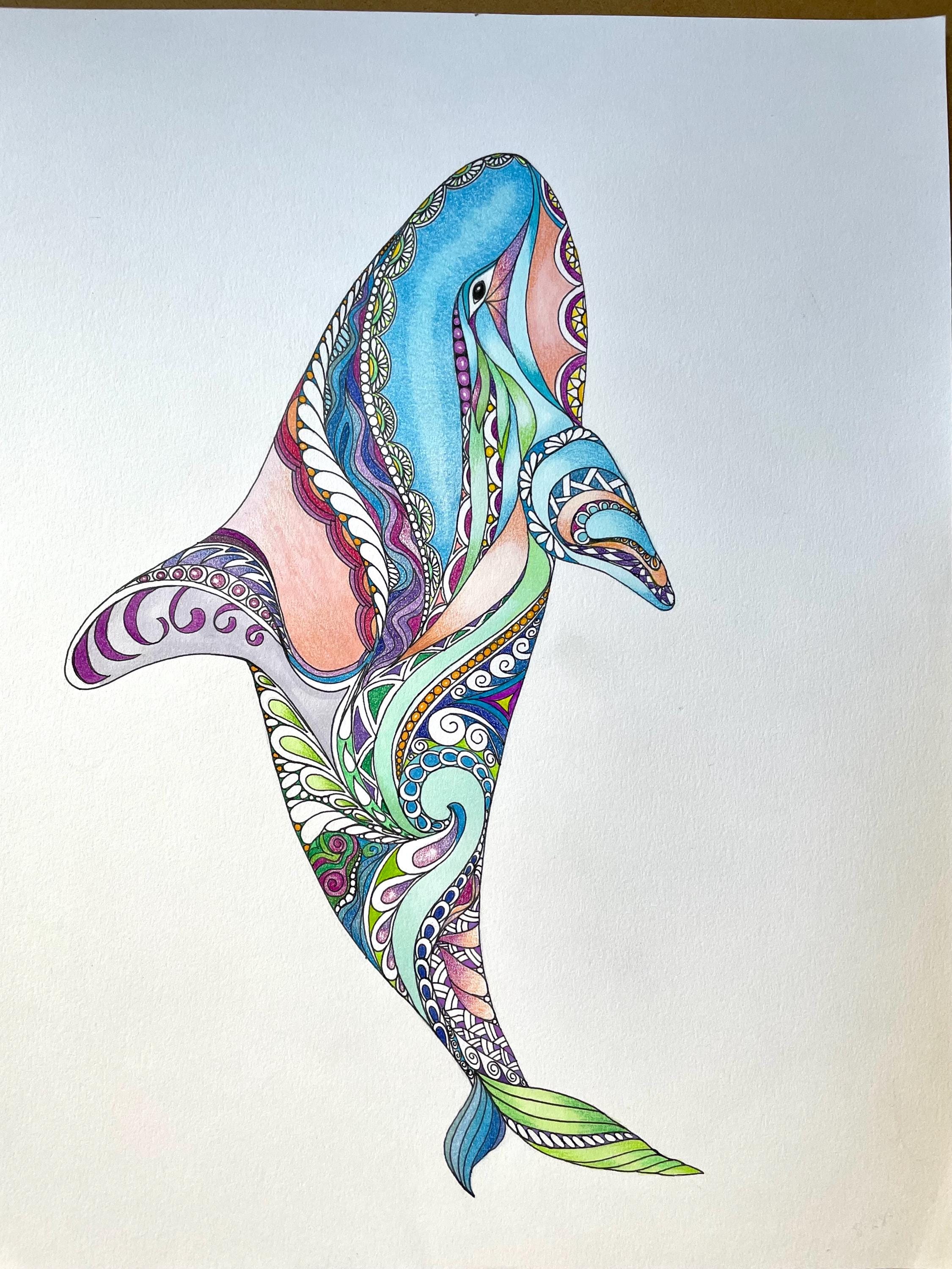 Zentangle Killer Whale, Whale Art, Killer Whale Art, Colored