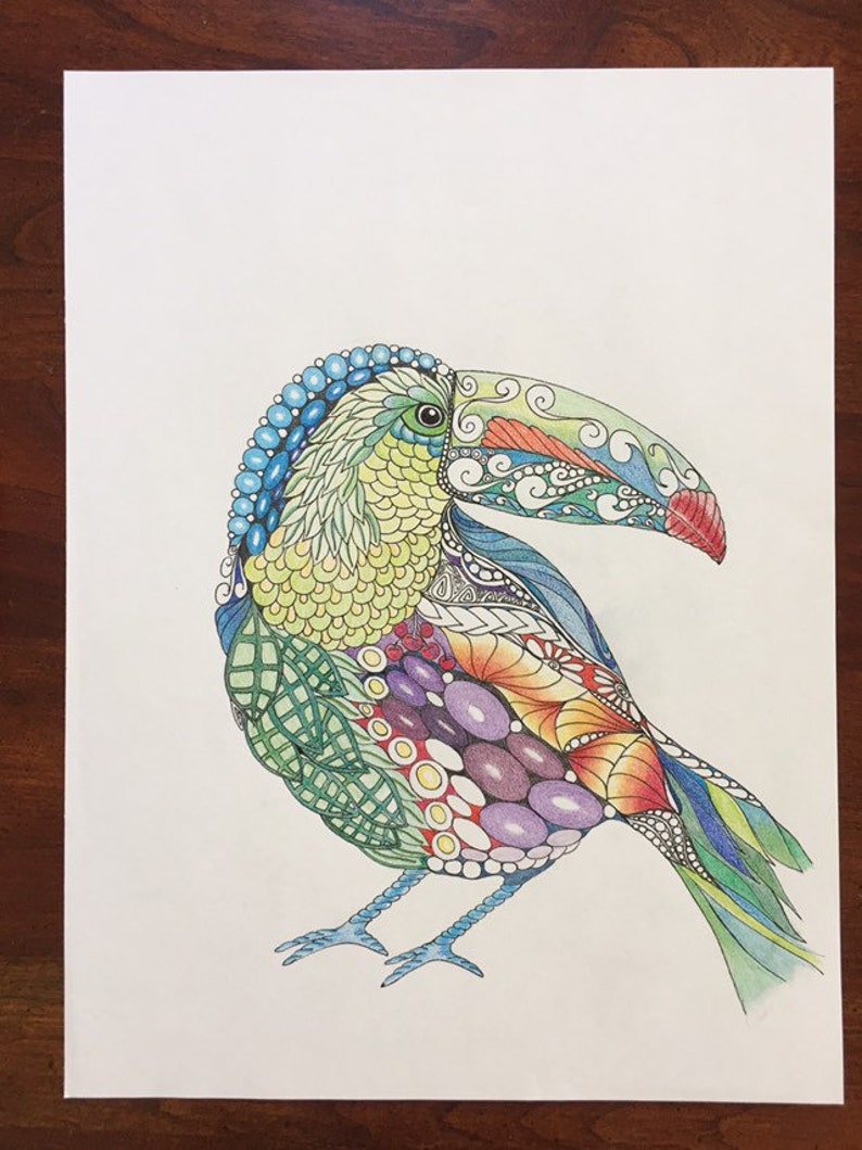 Zentangle toucan, zentangle art, colored zentangle, toucan art, bird art, ink colored pencils, wall art, tropical art image 5