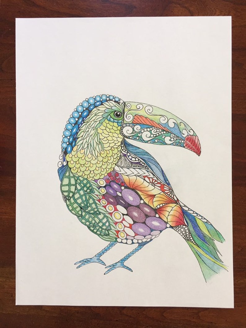 Zentangle toucan, zentangle art, colored zentangle, toucan art, bird art, ink colored pencils, wall art, tropical art image 7