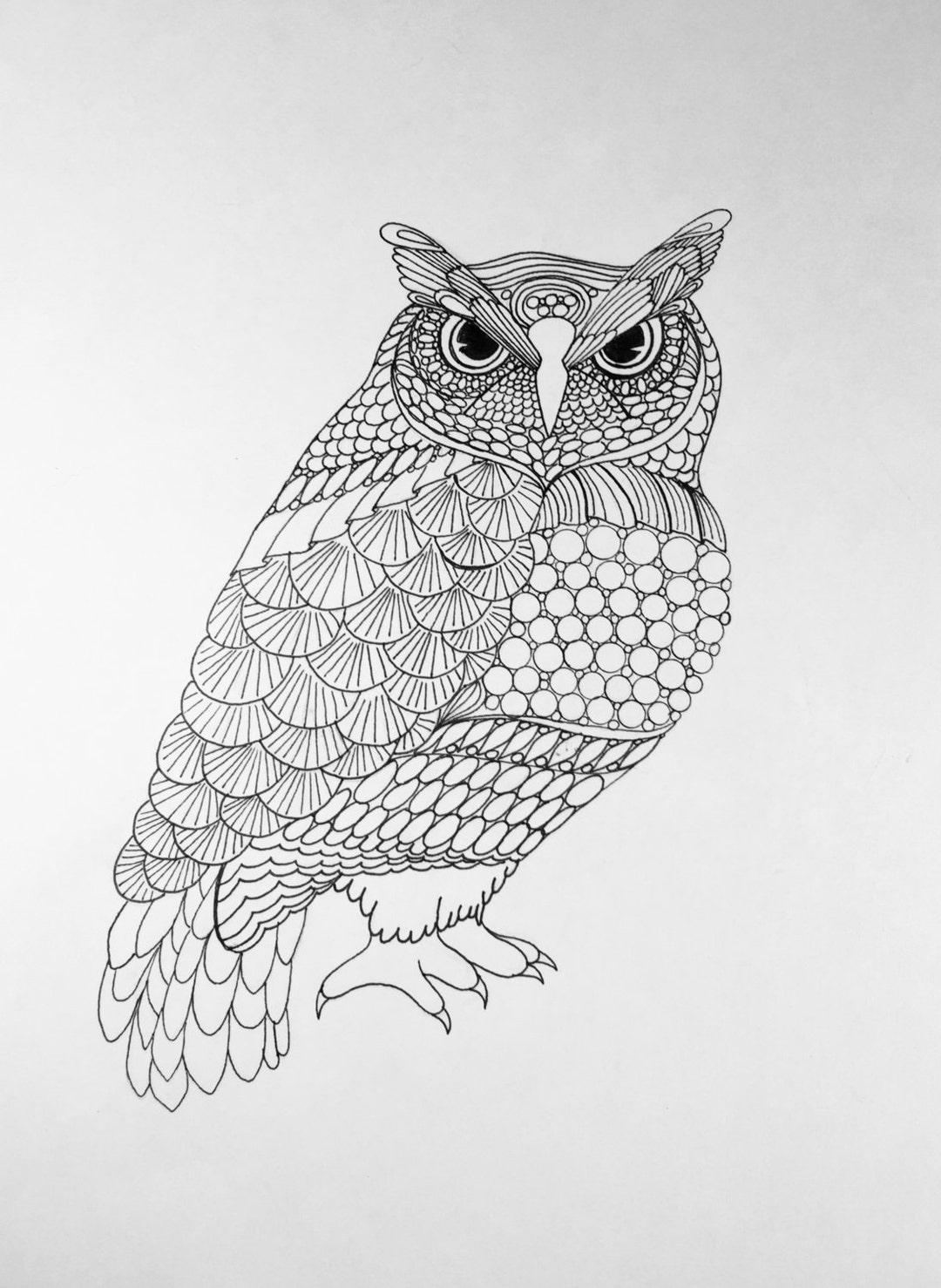 Zentangle Owl: 12x9 in Owl Art Bird Art Zentangle Bird
