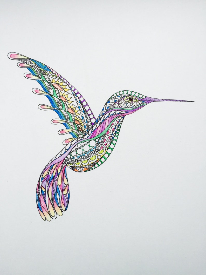 Download Zentangle hummingbird hummingbird art hand drawn bird art ...