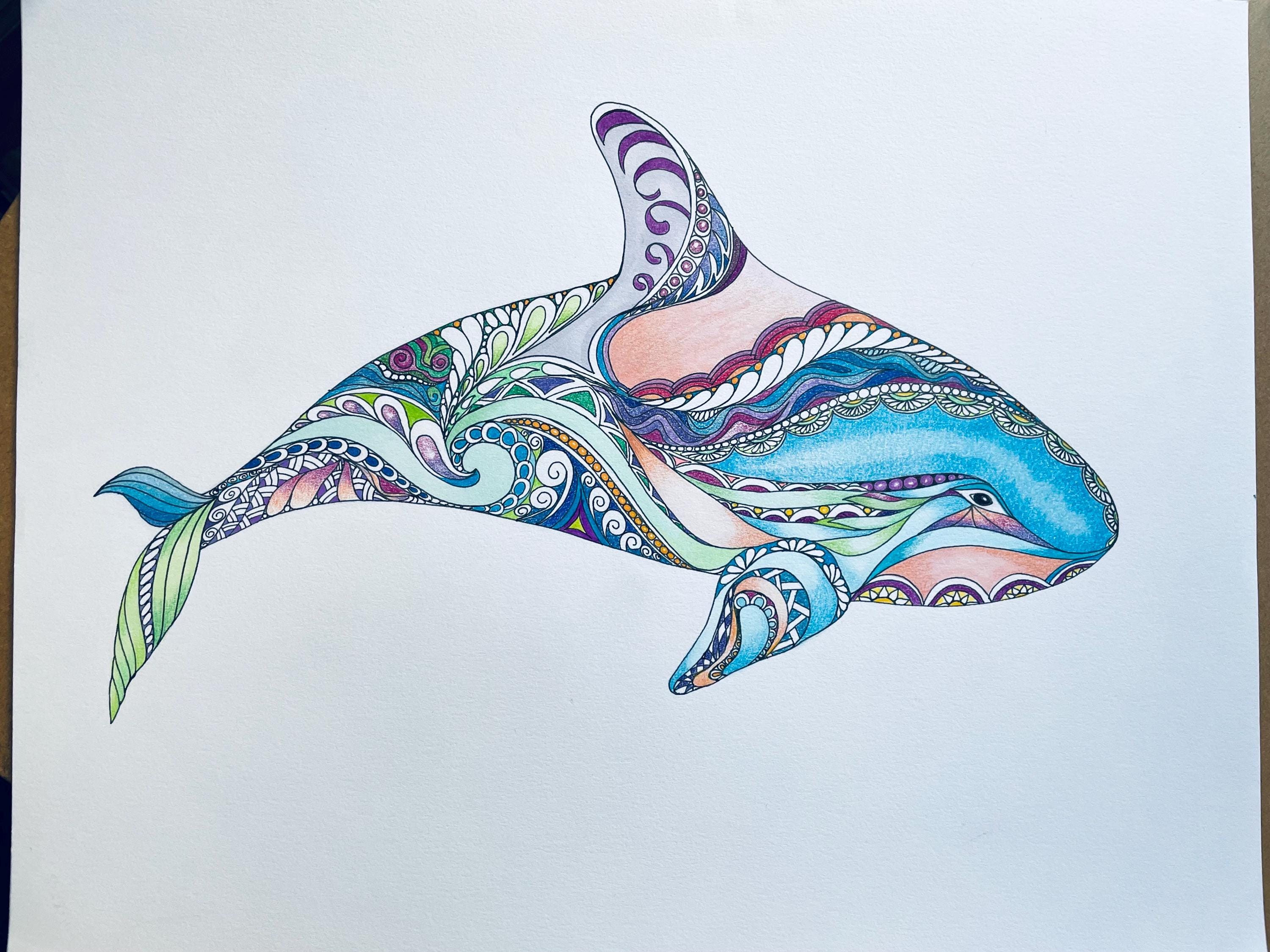 Zentangle Killer Whale, Whale Art, Killer Whale Art, Colored