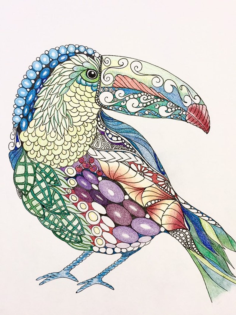 Zentangle toucan, zentangle art, colored zentangle, toucan art, bird art, ink colored pencils, wall art, tropical art image 2