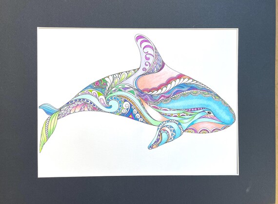 Zentangle Killer Whale, Whale Art, Killer Whale Art, Colored