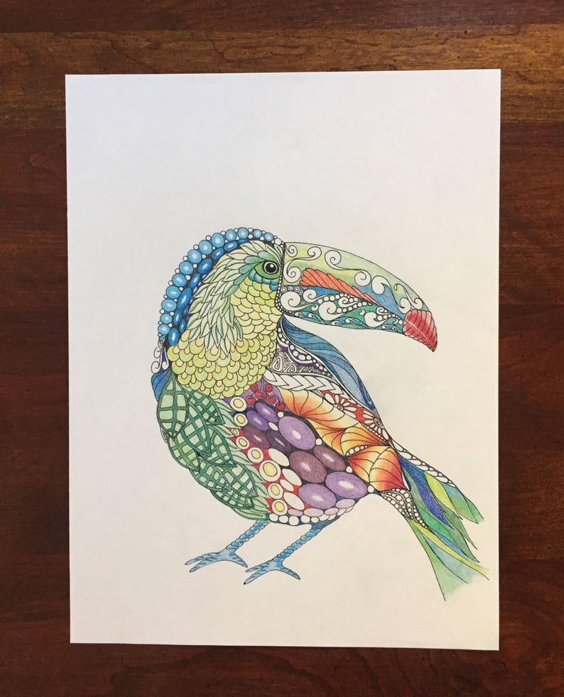 Zentangle toucan, zentangle art, colored zentangle, toucan art, bird art, ink colored pencils, wall art, tropical art image 3