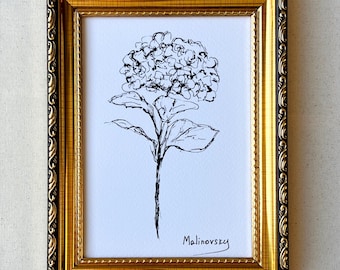 HYDRANGEA Unframed Art Print - Floral Drawing Ink Sketch Print - French Country Art - Minimalist Flower Painting - Floral Farmhouse Painting
