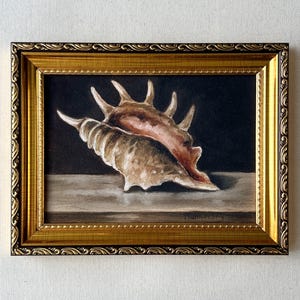 Può includere: Un dipinto incorniciato di due conchiglie. Le conchiglie sono dipinte in tonalità marroni e beige, con un tocco di rosso. Il dipinto è ambientato su uno sfondo scuro e incorniciato in una cornice dorata ornata.