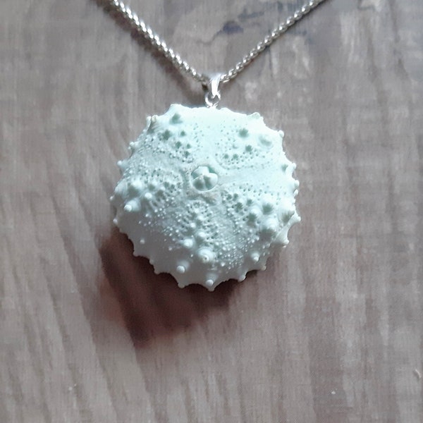 Collier d’oursin, Cadeaux pour elle, Bijoux de plage, Mariage de plage, Boho , Oursin bleu glacier, Inspiré de l’océan, Bijoux de mariage