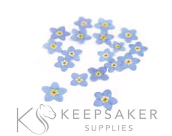 May include: A scattering of delicate, light blue forget-me-not flowers with yellow centres, set against a white backdrop. The flowers are in various stages of bloom. The text "KEEPSAKER SUPPLIES" is visible in the lower right corner.