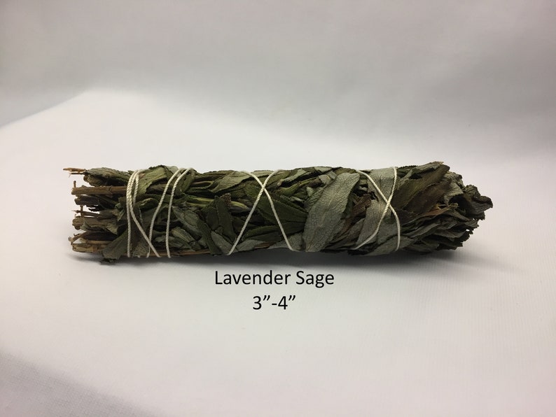 Incense Herbs Resins Shells & Smudge Sticks Etsy