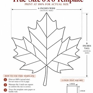May include: A black and white maple leaf patchwork appliqu&eacute; template with the text "True-Size 6 x 6 Template" and "Print at 100% for actual size". The leaf is 6 inches wide and 6 inches tall, including a 1-inch test square for scale.