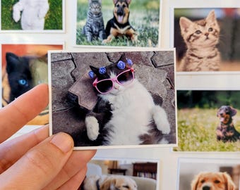 Custom Photo Magnets | Personalised Pet Fridge Magnets (Medium Set)