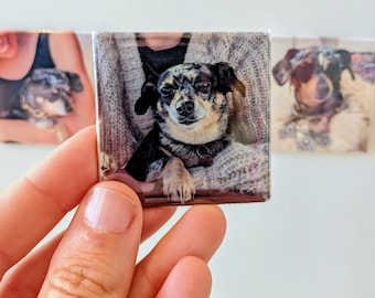 Personalized Photo Fridge Magnets: Pets