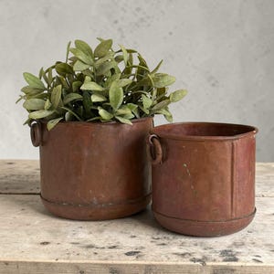 May include: Two cylindrical copper pots with a hammered texture and small side ring handles. The larger pot contains a lush green plant with oval leaves. Both containers feature a weathered, reddish-brown patina with subtle signs of oxidation.