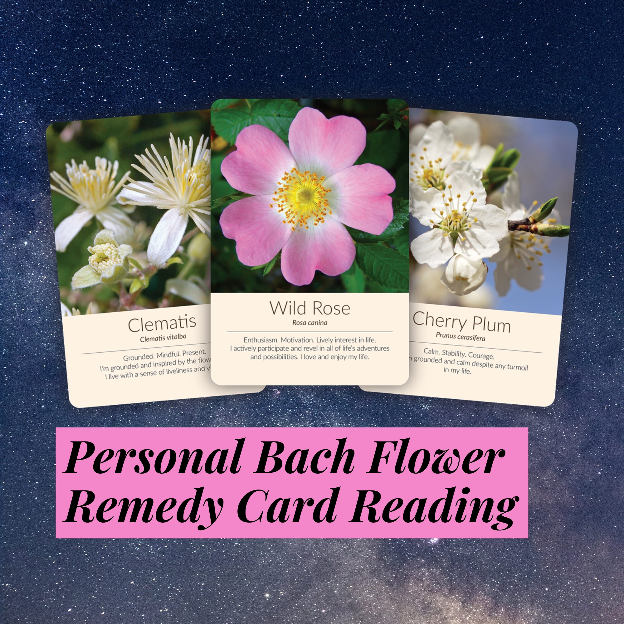 Personal Bach Flower Remedy Card Reading Etsy