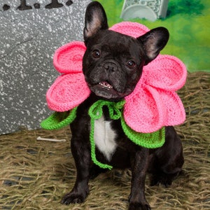 Dog Costume, Dog Collar, Dog Flower Collar, Blooming Flower Costume, Dog Clothes, Pet Accessories, Crochet, Handmade
