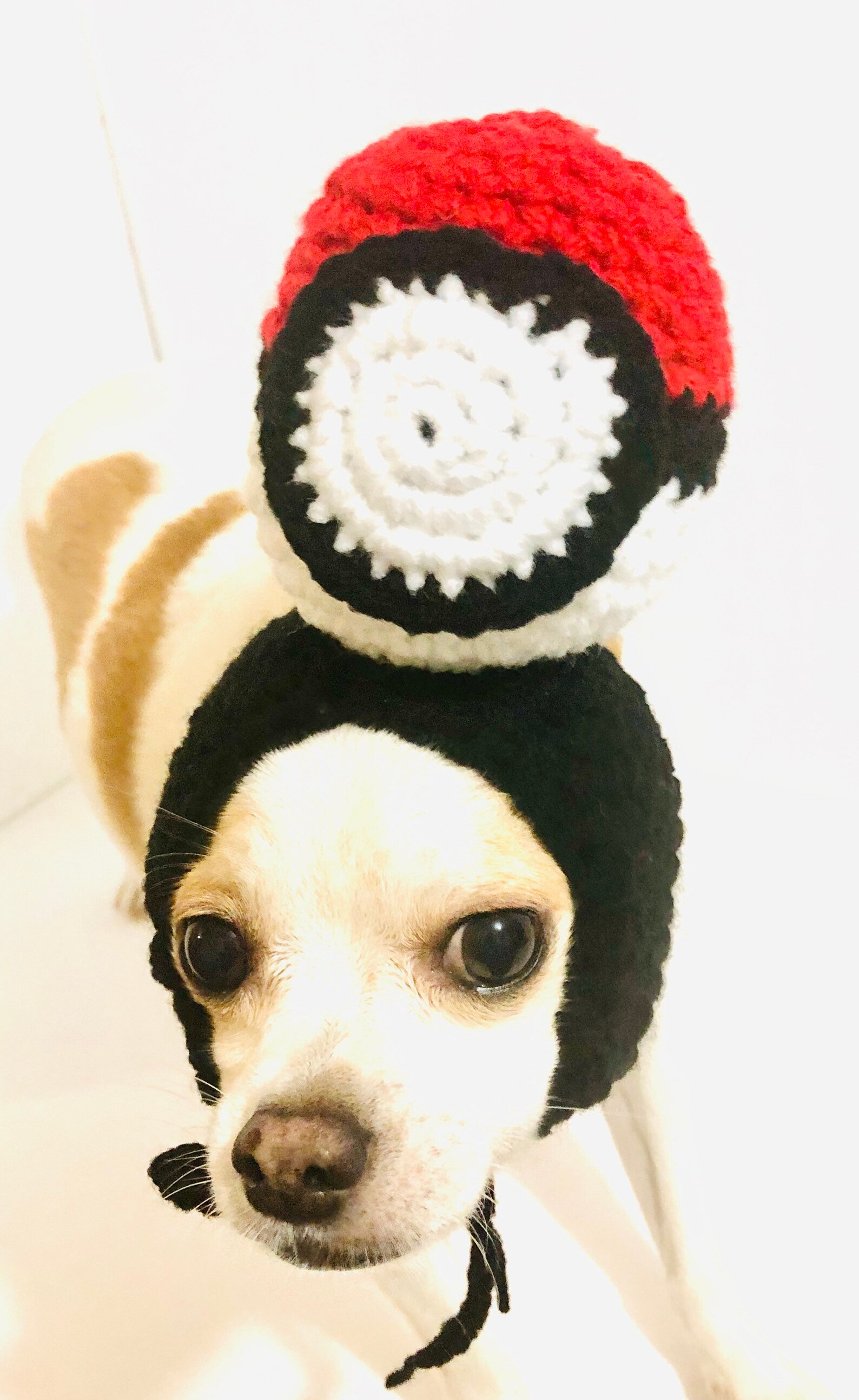 Pokémon Ball Dog Hat Dog Costume Halloween Dog Costume Etsy