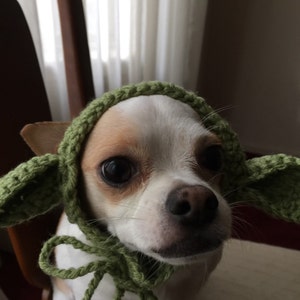May include: A small dog wearing a handmade green crochet bonnet featuring two large, pointed, protruding ears on the sides. The bonnet is crafted with a textured yarn stitch and includes a tie closure under the chin to secure it in place.