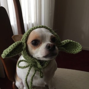 May include: A small white and tan dog wearing a handmade green crocheted bonnet. The bonnet features two large, pointed, ear-like extensions on the sides and includes thin crocheted ties that hang down from the chin area to secure the headpiece.
