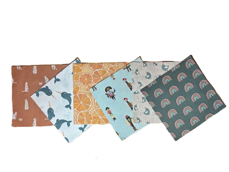 Puede incluir: Una colecci&oacute;n de seis estuches de tela rectangulares con varios patrones, incluyendo suricatos sobre fondo terracota, narvales azules, rodajas de naranja, piratas sobre azul claro, p&aacute;jaros sobre crema y arco&iacute;ris sobre fondo verde oscuro.