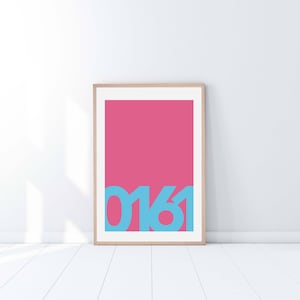 May include: A framed print with a pink backdrop and the number "0161" in light blue. The artwork is set against a white wall and floor, creating a minimalist aesthetic. The frame is made of light-colored wood.