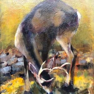 Deer in My Front Yard.  Original Oil, 11 x 14 inches