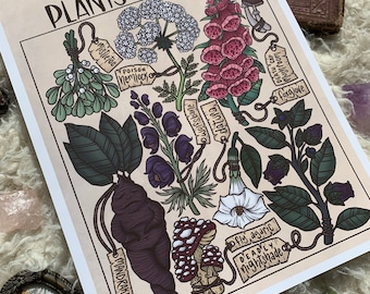 Poisonous Plants & Fungi | 8.5x11 Print | Witch Art, Green Witch Art, Plant Art, Witch Decor, Whimsigoth Art, Whimsigoth Decor, Planf Decor