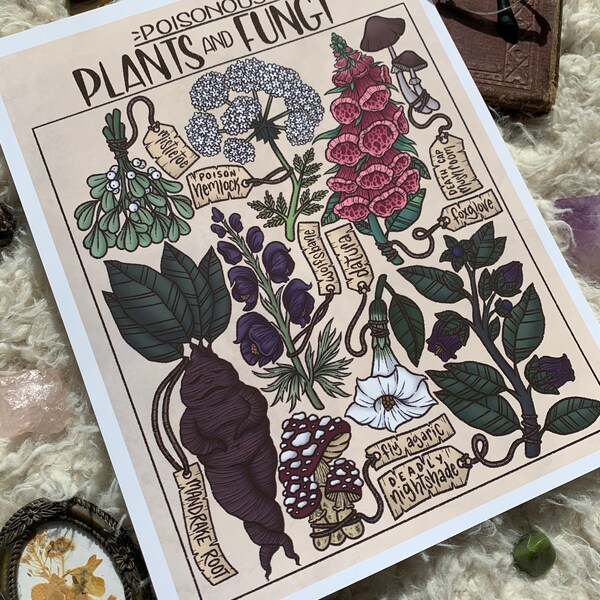 Poisonous Plants & Fungi | 8.5x11 Print | Witch Art, Green Witch Art, Plant Art, Witch Decor, Whimsigoth Art, Whimsigoth Decor, Planf Decor