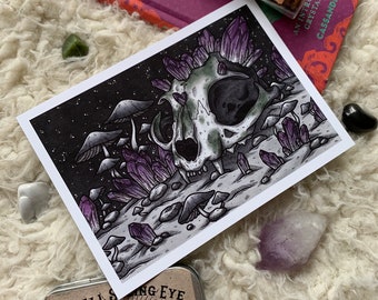 Cat Skull Study | 5x7 Print | Witch Art, Witch Decor, Occult Art, Occult Decor, Cat Skull Art