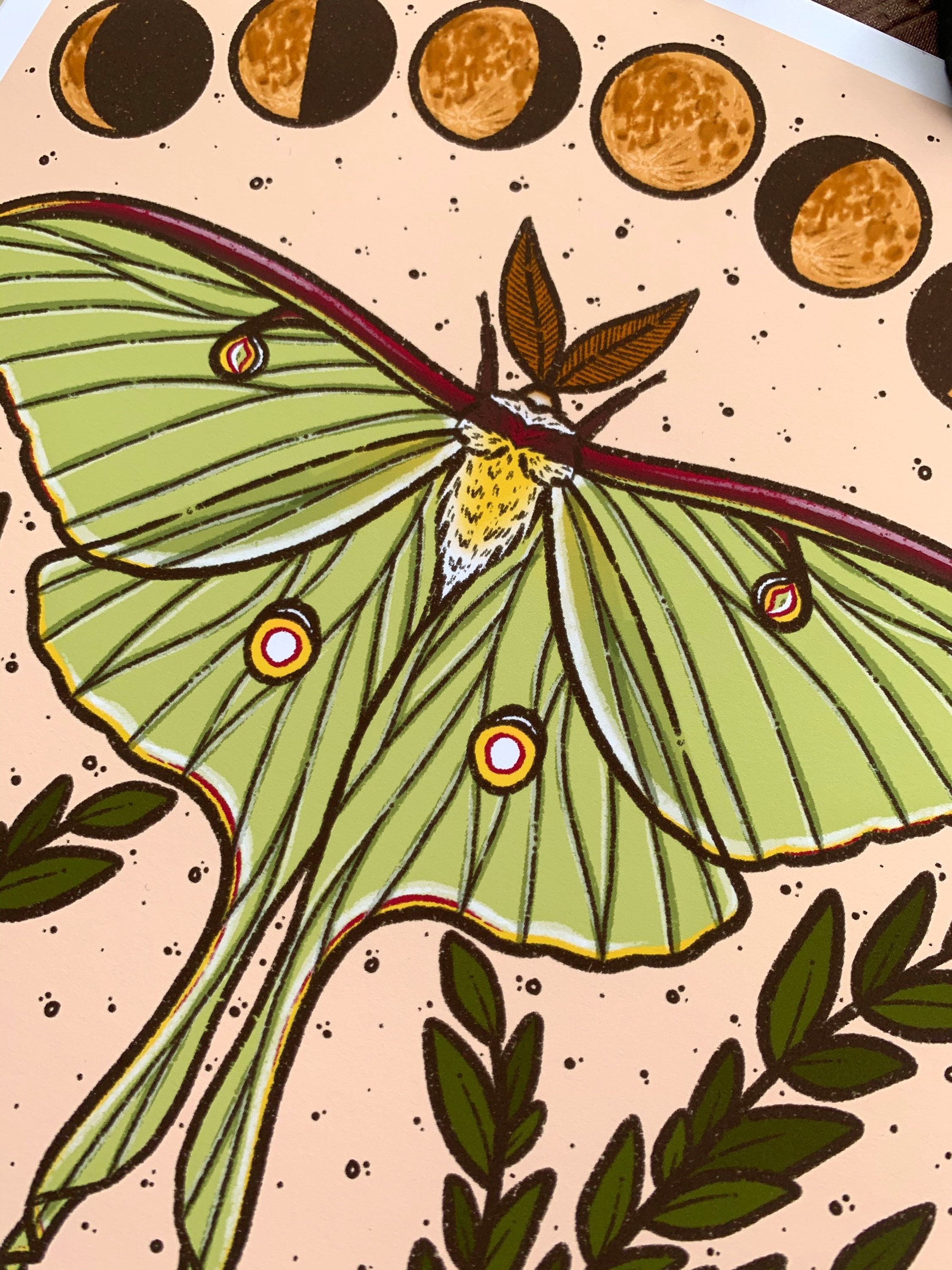 ダイヤモンドアートクラブ Luna Moth Witch Luna Moth Witch – Diamond Art Club
