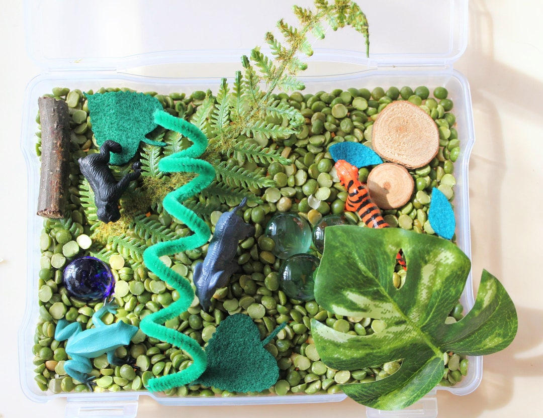Jungle Beat Mini Sensory Bin Sensory Play Pretend Play Etsy