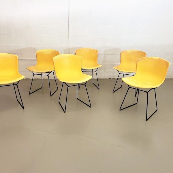 Mid Century Set of Six Harry Bertoia for Knoll Fiberglass Shell Chairs