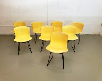 Mid Century Set of Eight Harry Bertoia for Knoll Fiberglass Shell Chairs