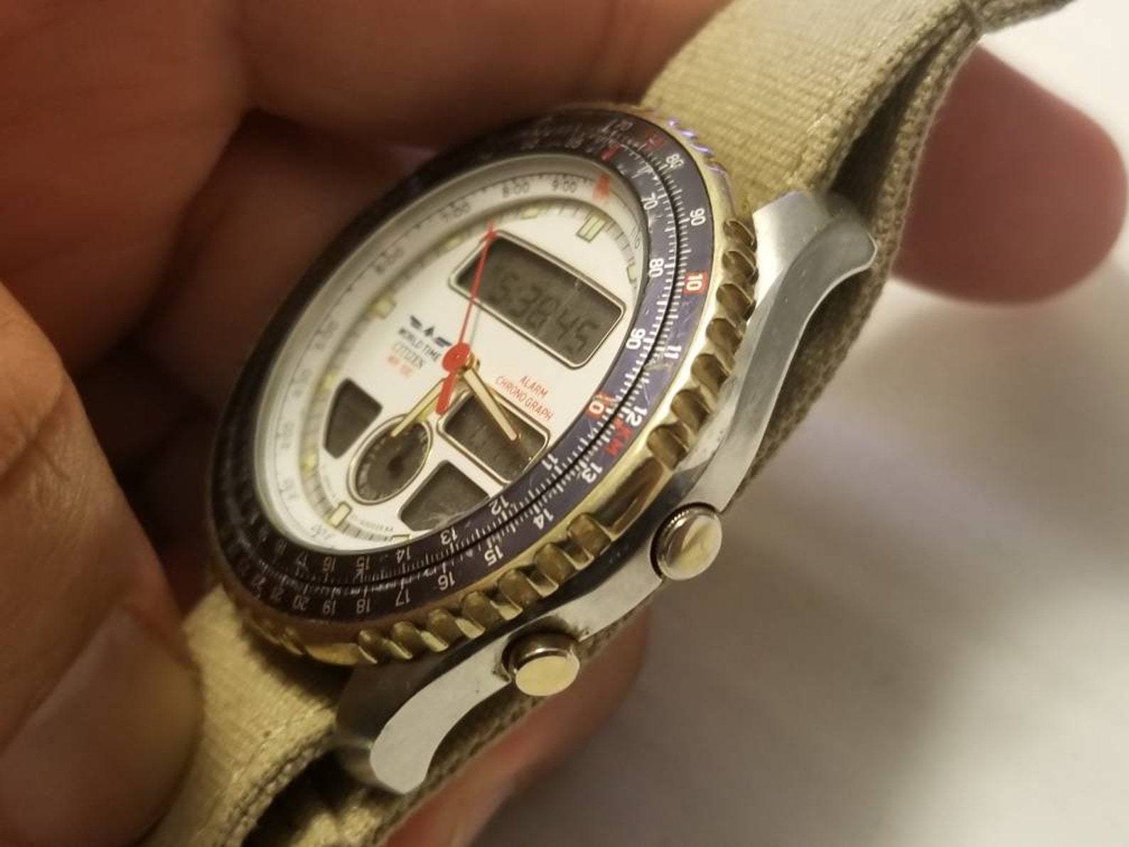 citizen promaster world time