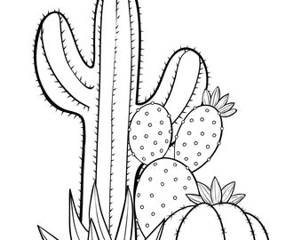 cacti coloring page etsy