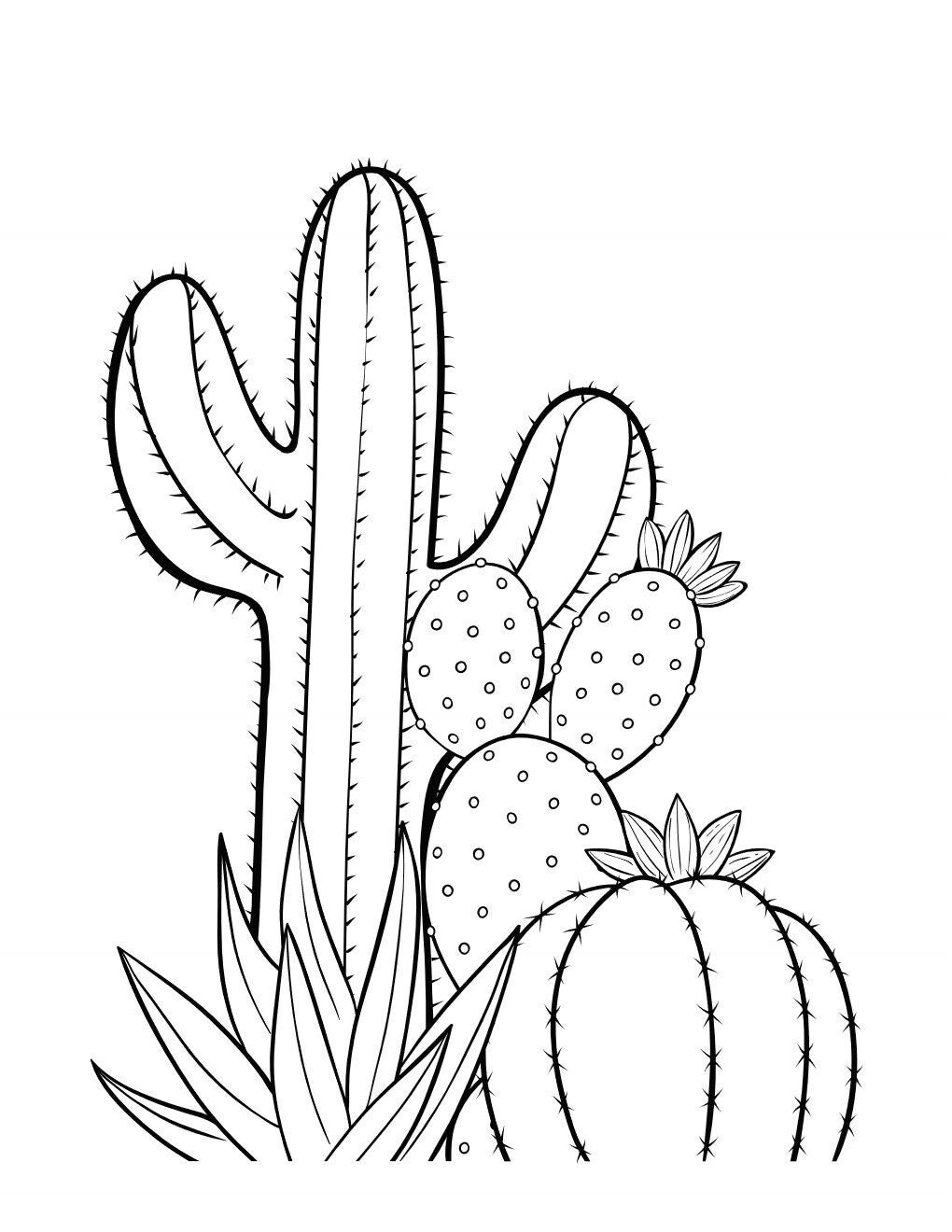 110 PRINTABLE Cactus Coloring Pages Instant Download Etsy