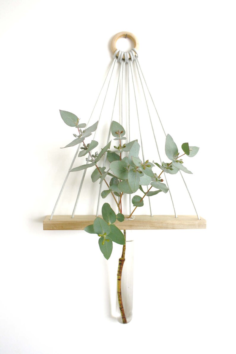 Linear Hanging Wall Vase Plants Minimalist Reclaimed Wood