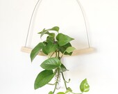 Minimalist vase, hanging vase, reclaimed wood, curved vase, light wood, minimal